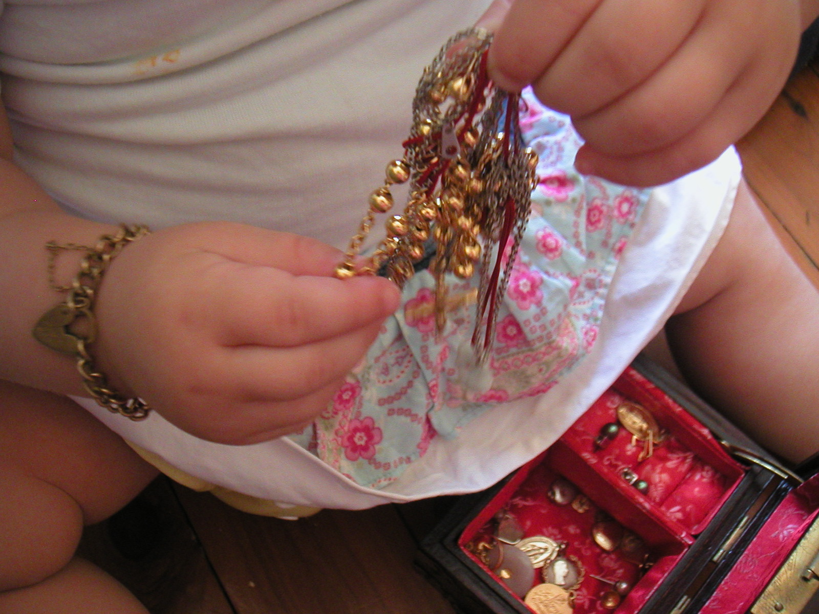 [PICT0535.JPG]