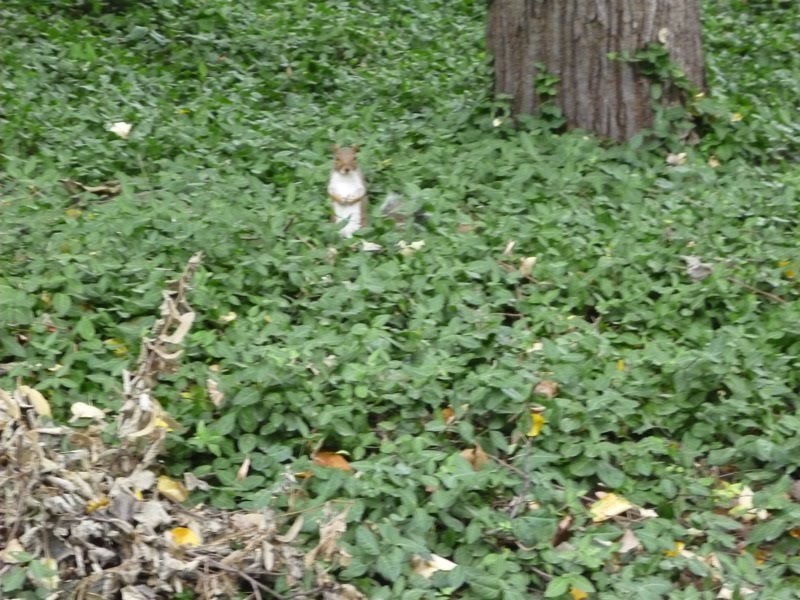 [P1010662.JPG]