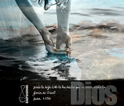 Versículos de la Biblia sobre la Diversidad