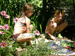 In the Fairy Garden