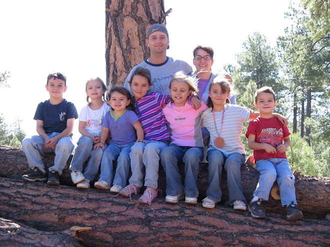 our family on a log