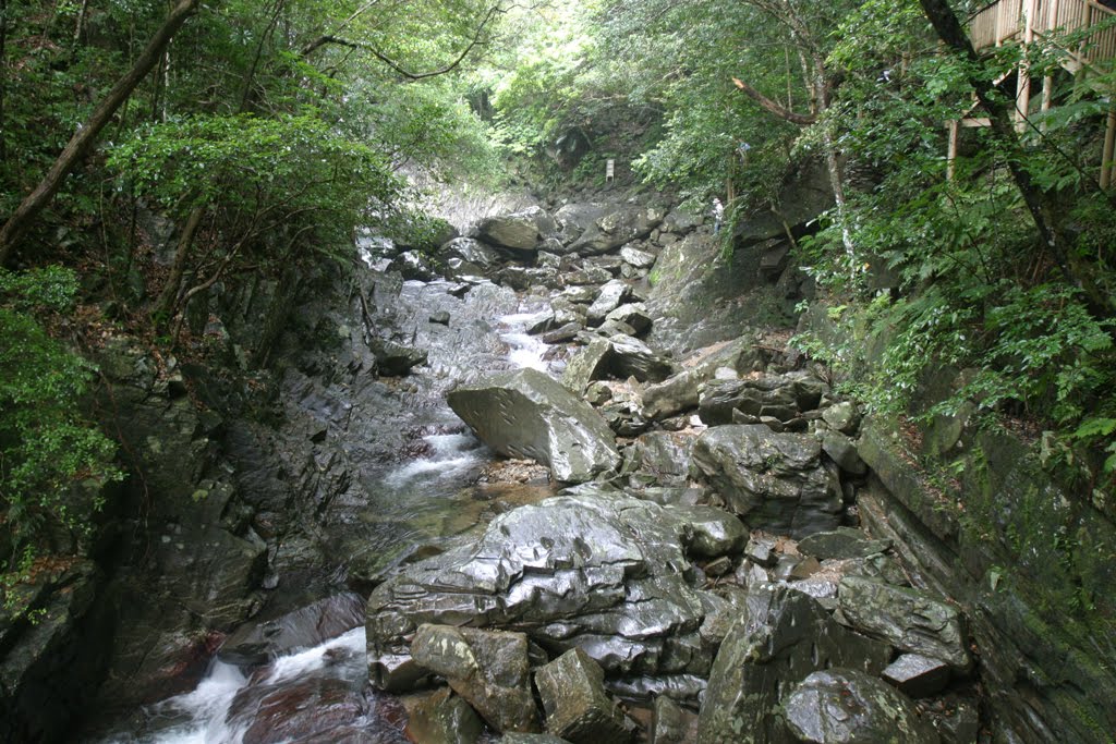 the importance of protecting rain forests Have students share their arguments about the importance of protecting biodiversity in the amazon rain forest with the class students with the same region should present following each other so students can compare the different pieces of evidence and reasoning they used to support their claim. the importance of protecting rain forests Have students share their arguments about the importance of protecting biodiversity in the amazon rain forest with the class students with the same region should present following each other so students can compare the different pieces of evidence and reasoning they used to support their claim.