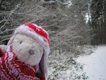 My Wabbit Pal Bunty Bunny