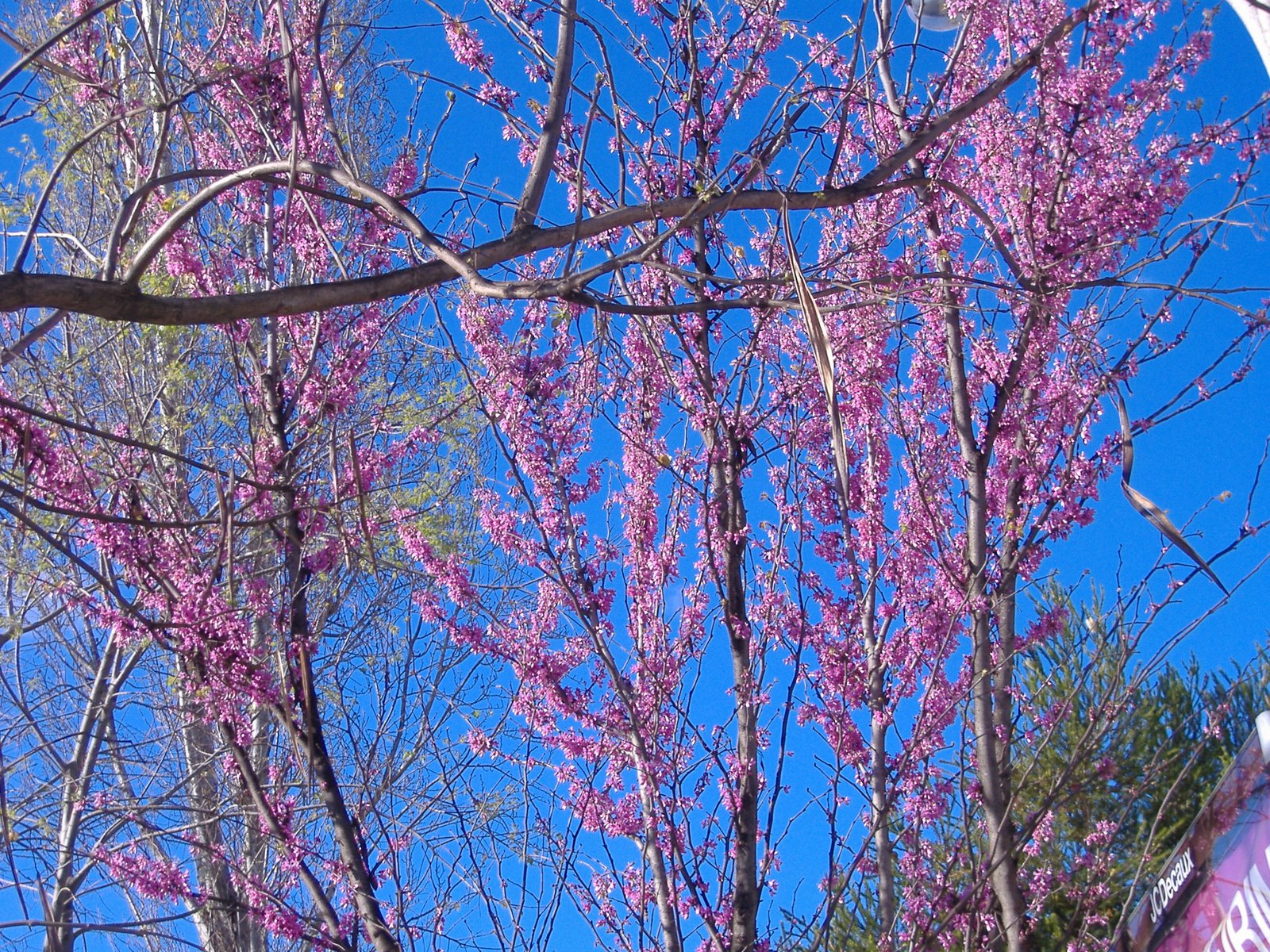 [DSCF1190.JPG]