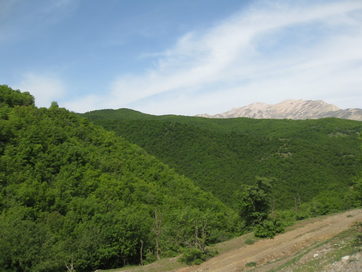 lمنظره جنگلهای  شهر پیرانشهروسردشت