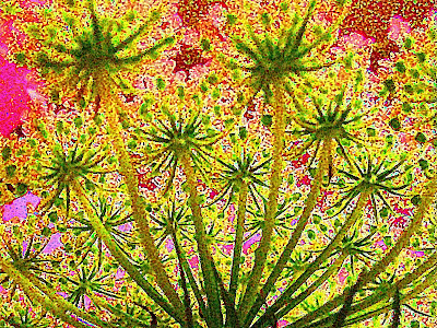 smoking weed wallpaper. weed wallpaper. smoking weed wallpaper.