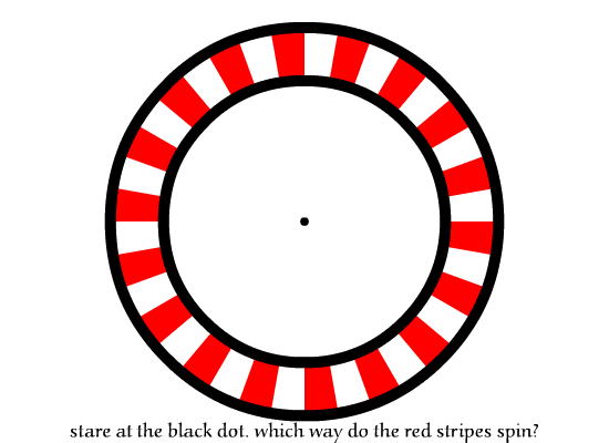 [circulo-giratorio.gif]