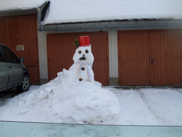 am13.2.2010 ..Schneemannweltrekord in Eisenerz/stmk