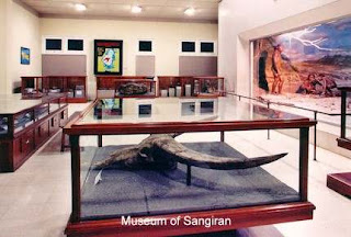 Archeological sangiran museum inside human ancient