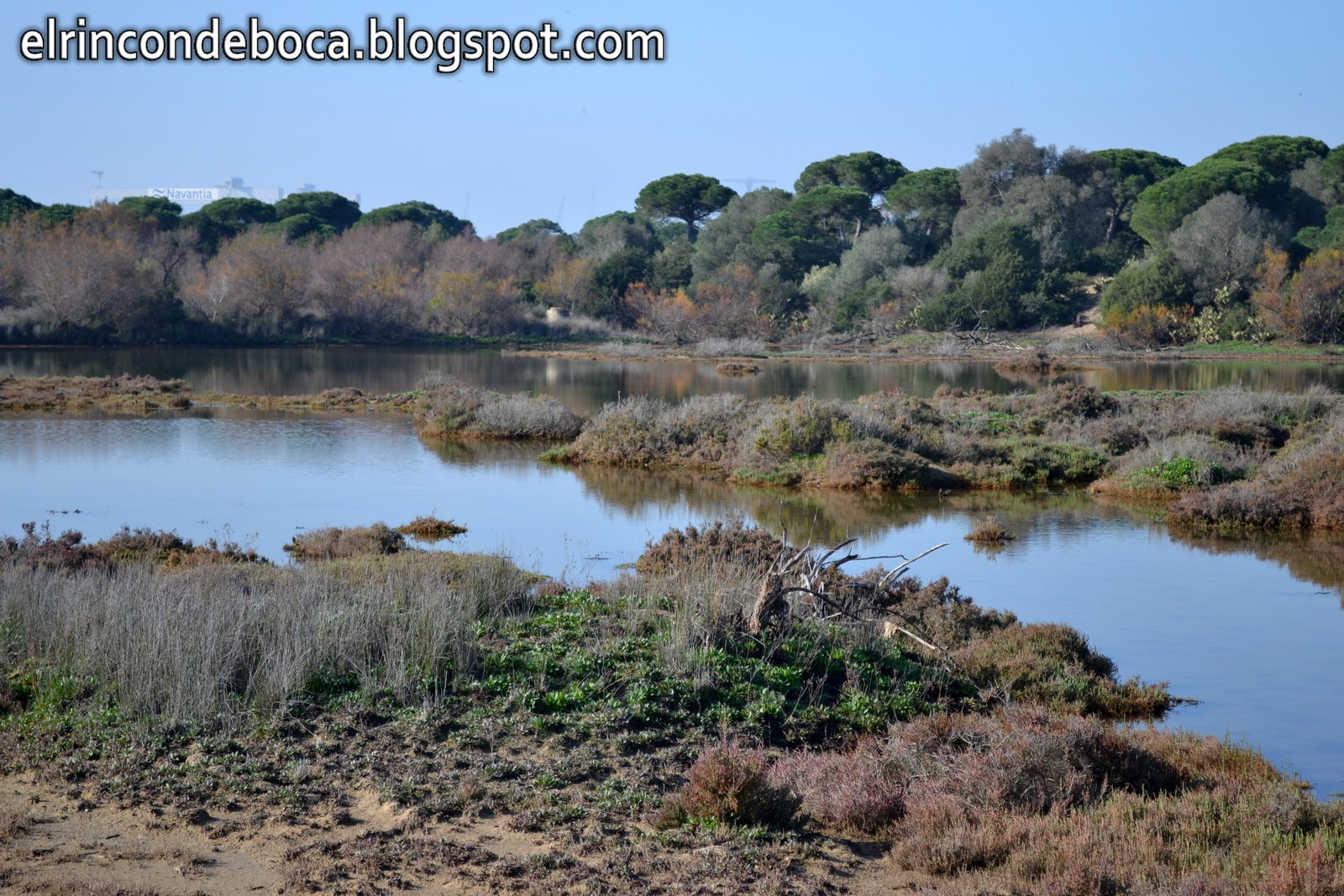 El Rincón de Boca La Algaida (Puerto Real)