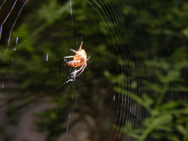[2007_07270024.JPG]