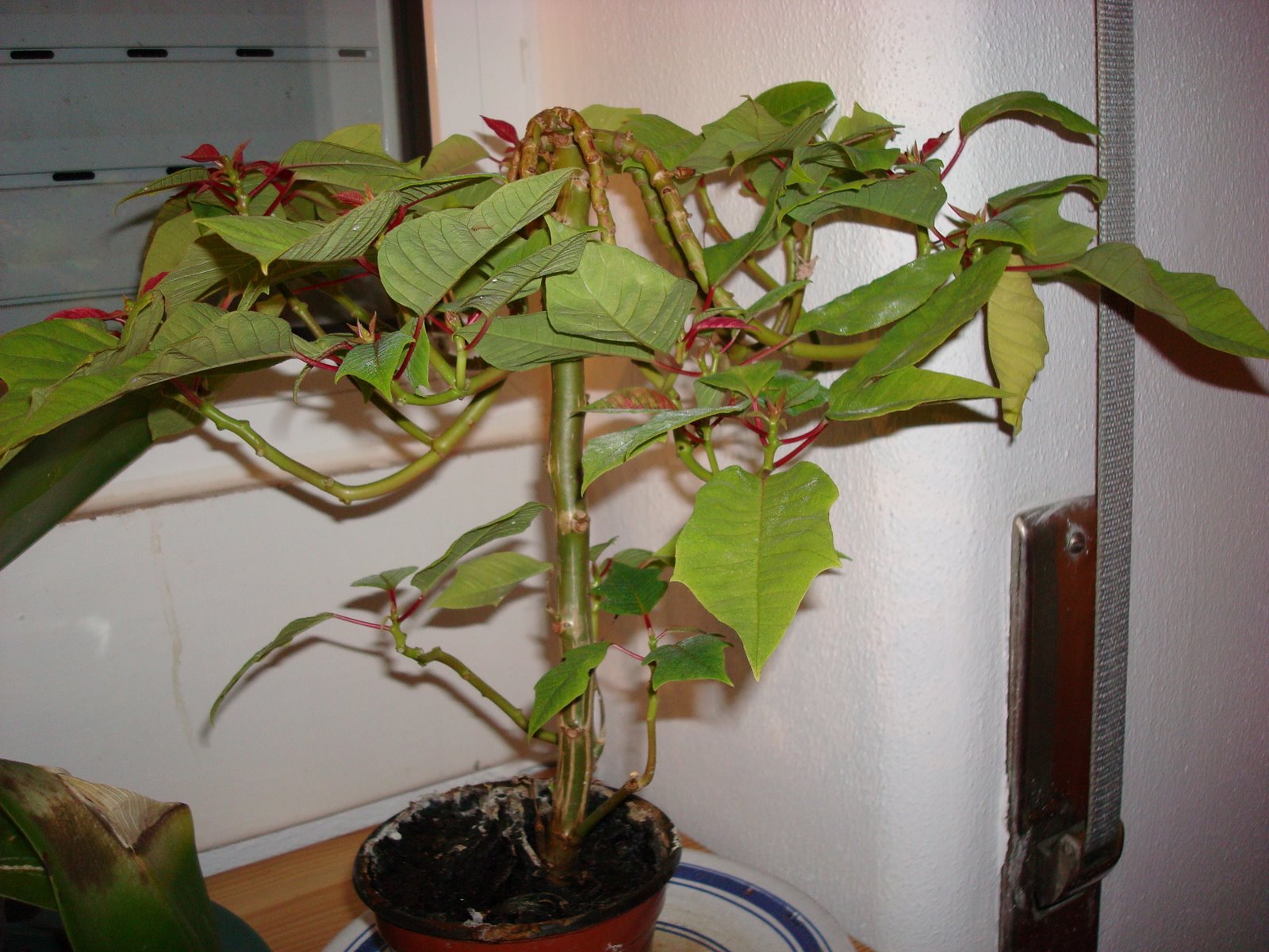[DSC00212.JPG]