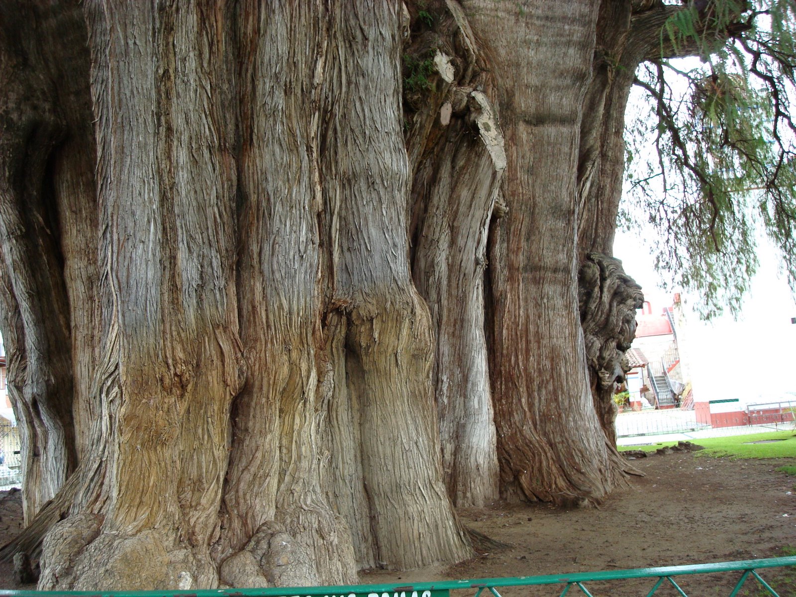 [DSC00082.JPG]