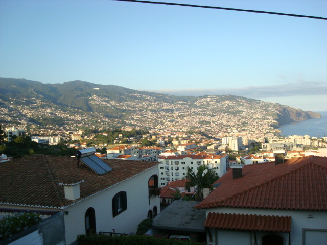 [DSC01584.JPG]