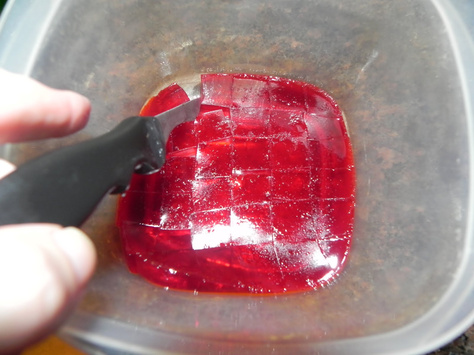 Farrah's Food Adventures Holiday Glass Block Jello