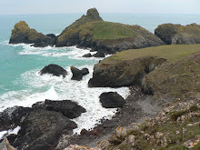 Kynance Cove