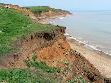 Brook Bay