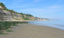 Luccombe Bay