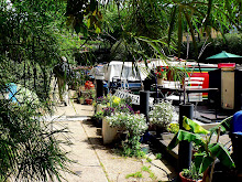 Regent's Canal