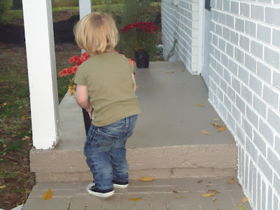 porches liking arranged catcher plants action got below side re