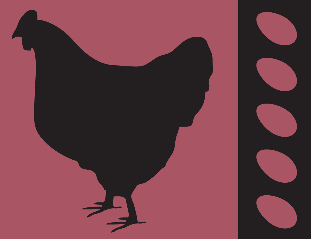 [Contrast-Chicken.jpg]