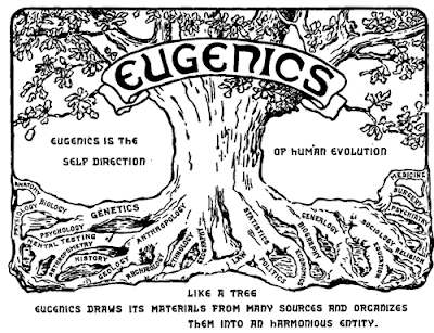 Eugenics congress logo - The PIONEER FUND as PROMULGATORS of FASCISM