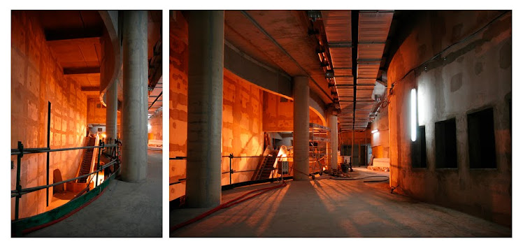 Chantier Aquarium du Trocadéro