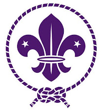 GRUPO SCOUT N° 153 N.S. del Pilar