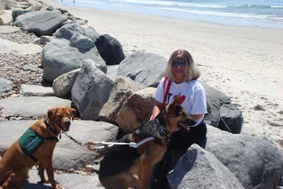 Guide Dog puppy Hibachi with Debra Kraimer and her guide Sheena