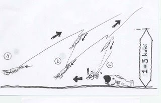 Jenis Umpan Dan Cara Memancing Ikan Siakap Ikan Mania