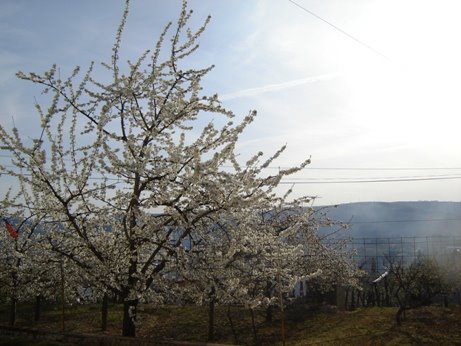 [DSC02646.JPG]