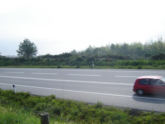 [DSC02688.JPG]