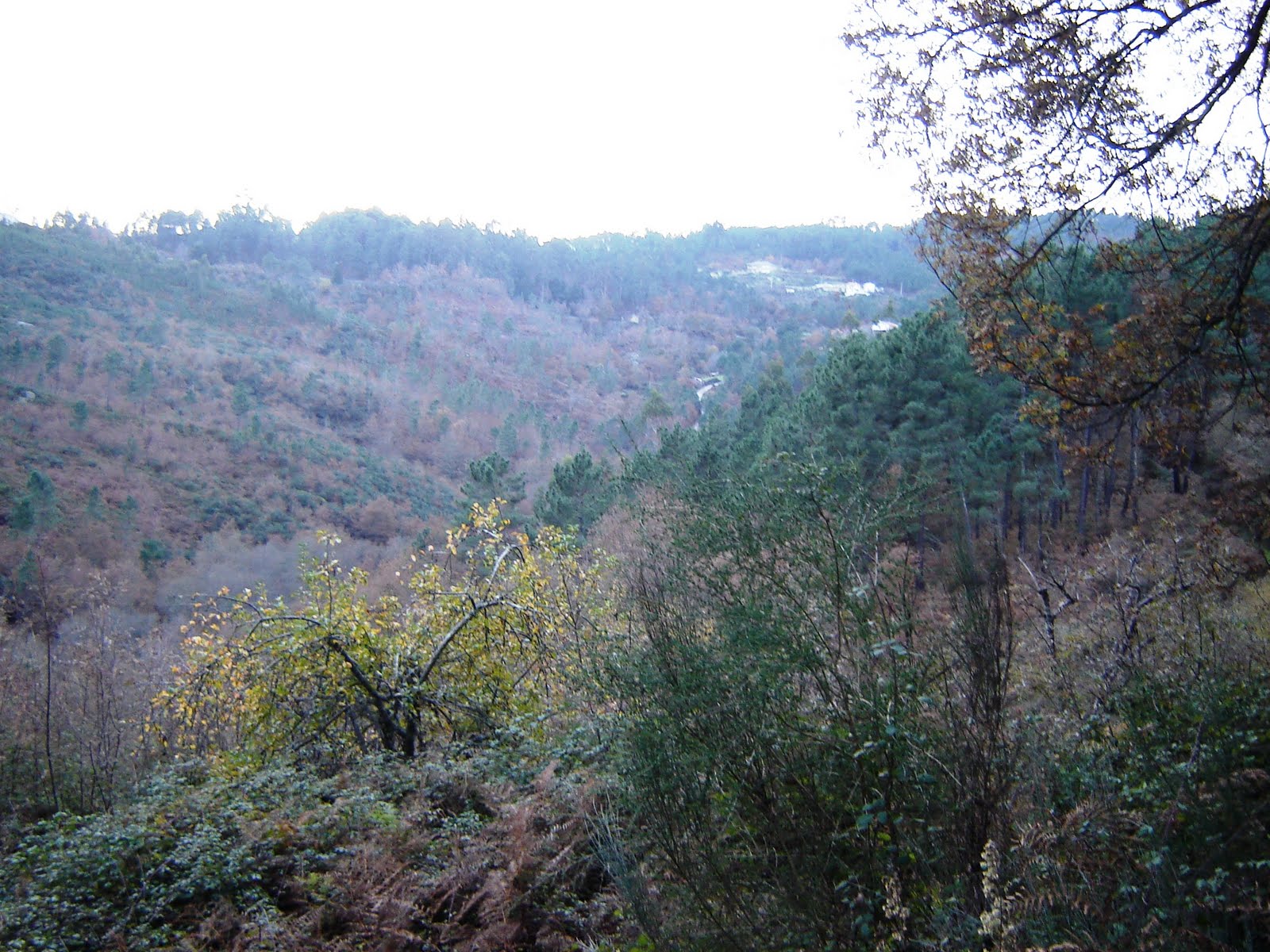 [DSC05473.JPG]
