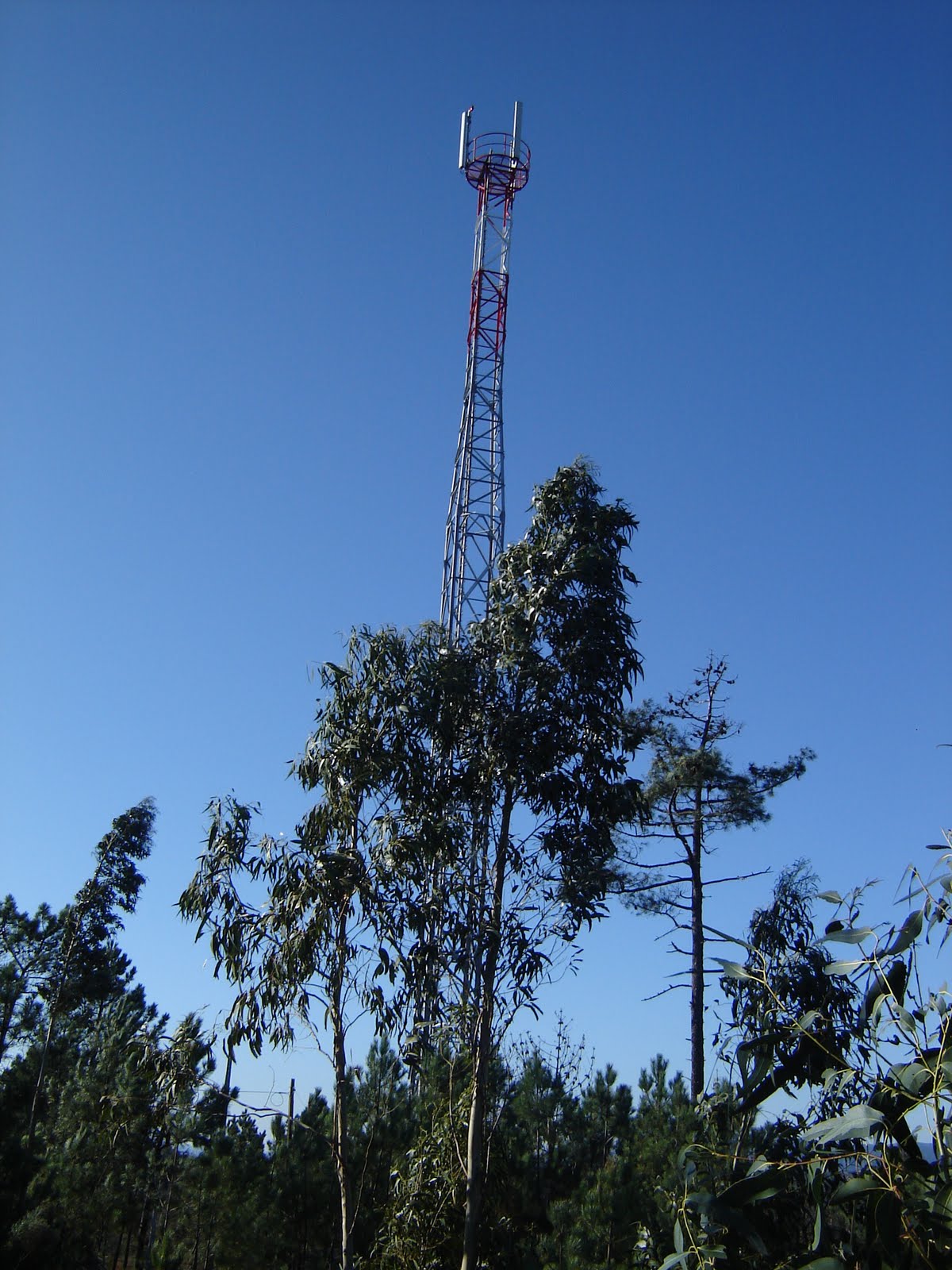 [DSC05484.JPG]