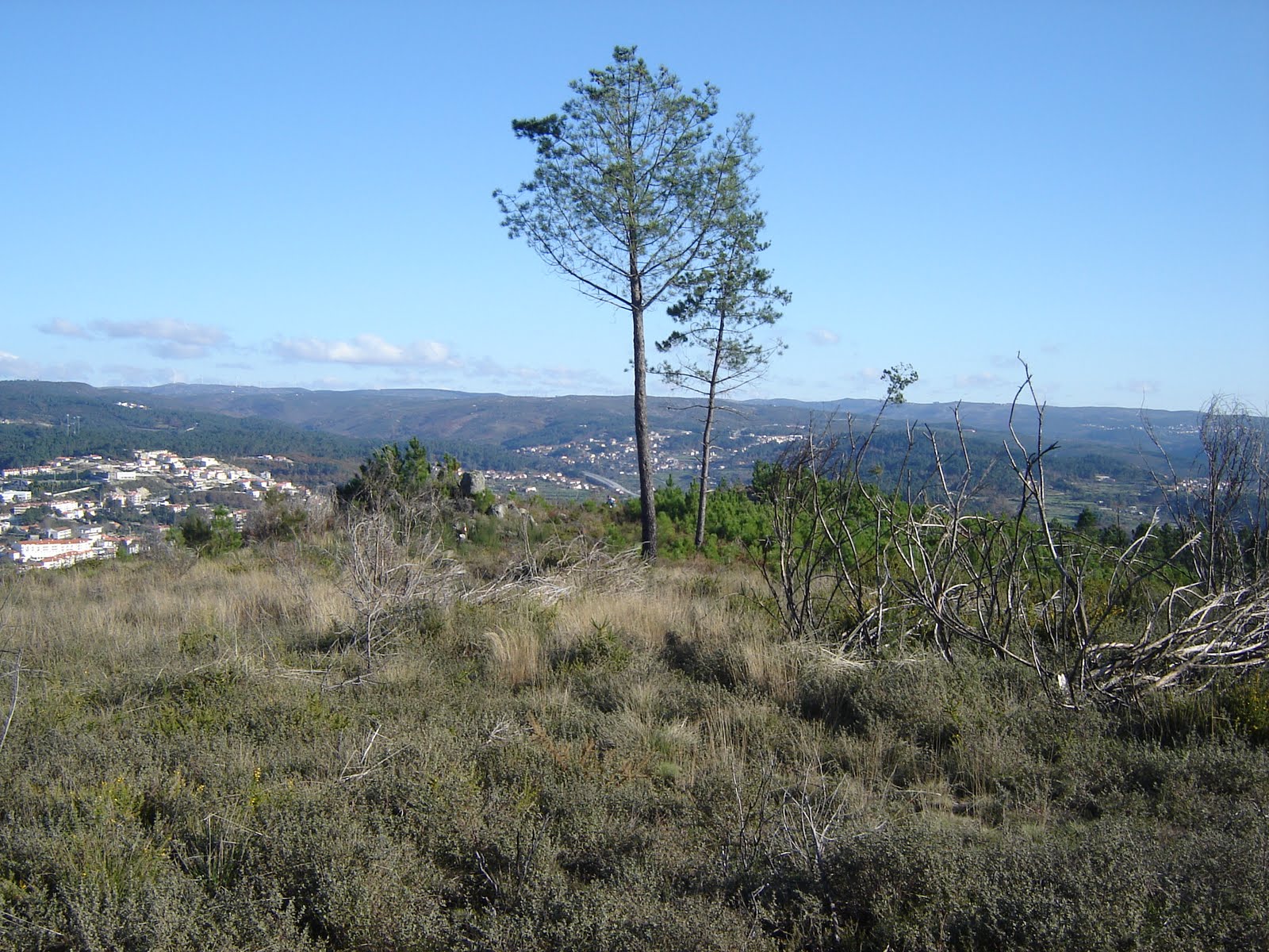 [DSC05482.JPG]
