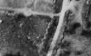 [Image2a1a.jpg]