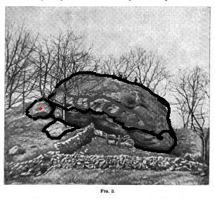 Waking Up on Turtle Island:  Sh...