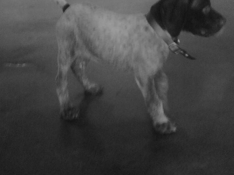 [gretelsfirstday.jpg]