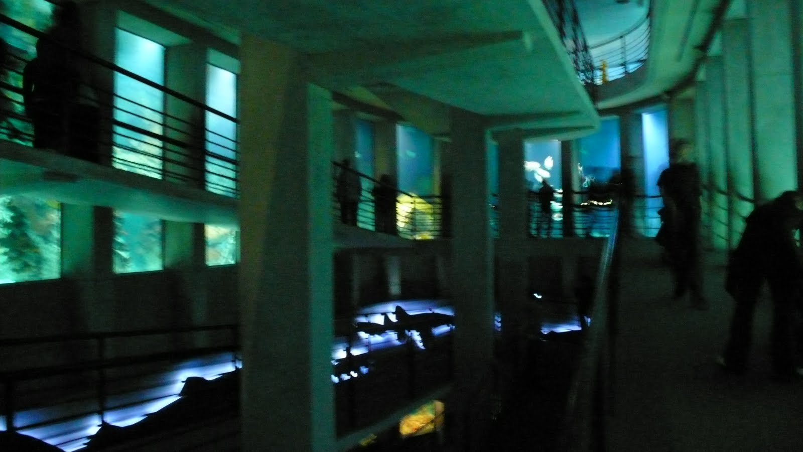 [P1030328.JPG]