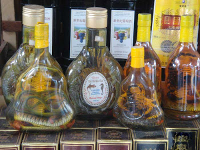 Snake Wine Seen On CoolPictureGallery.blogspot.com Or www.CoolPictureGallery.com