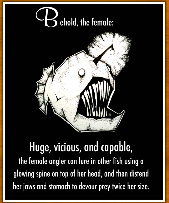 angler_fish_facts_03.jpg