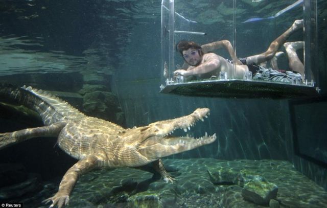 Gaiola da Morte, um encontro com crocodilos