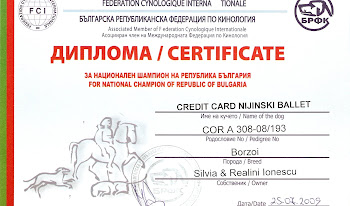 Bulgaria Champion
