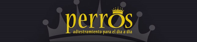 Perros, educación para el día a día