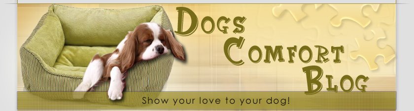 Dogs Comfort Blog - All About Dog Carriers
