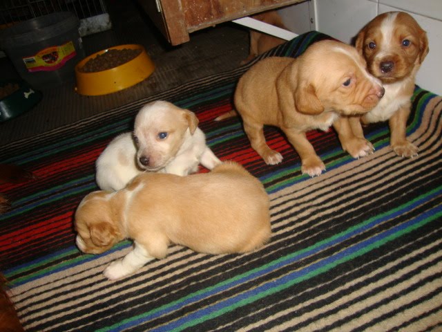 [DSC05195.JPG]