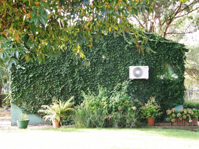 [PA060084.JPG]