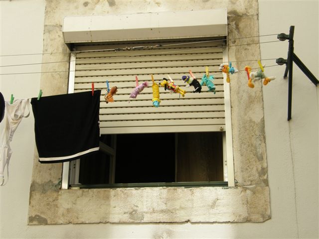[P9020406.JPG]