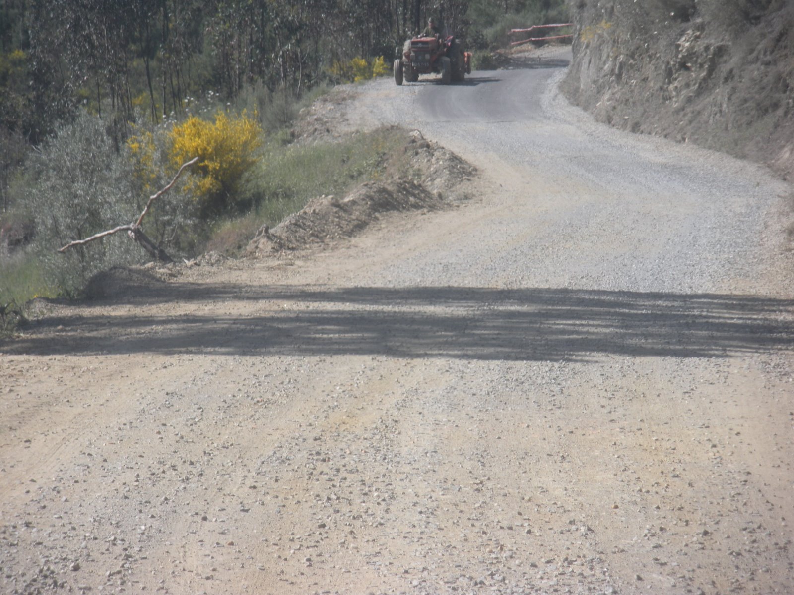 [DSCN0221.JPG]