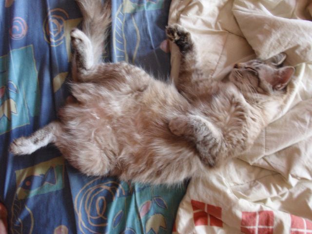 [P1200216.JPG]